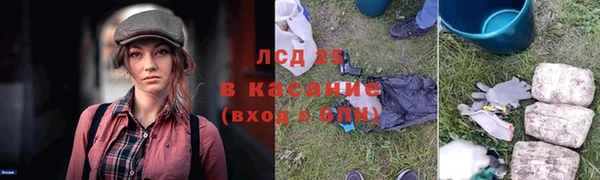 винт Верея
