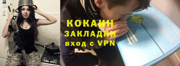 гидра Бородино