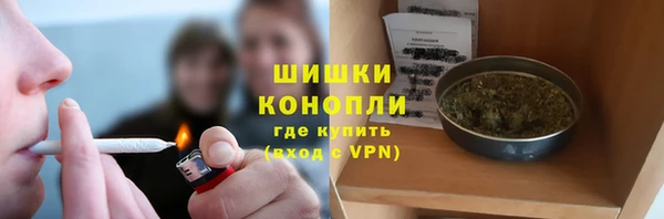ешки Вяземский