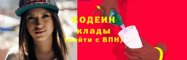 ешки Вяземский