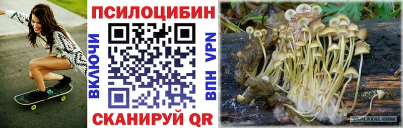 Псилоцибиновые грибы Psilocybine cubensis  Данков 