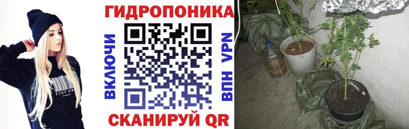 Шишки марихуана сатива  где найти наркотики  Данков 